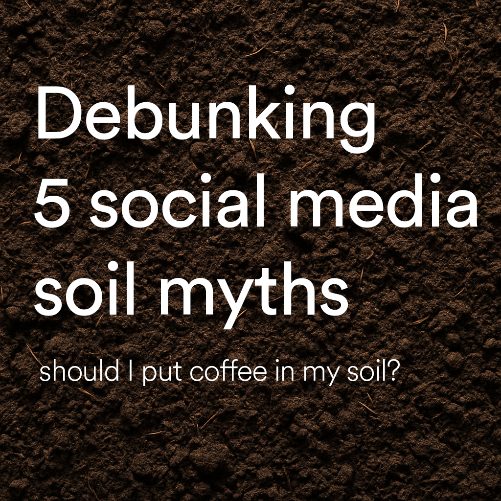 Image of 5 soil myths debunked