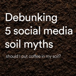 Image of 5 soil myths debunked