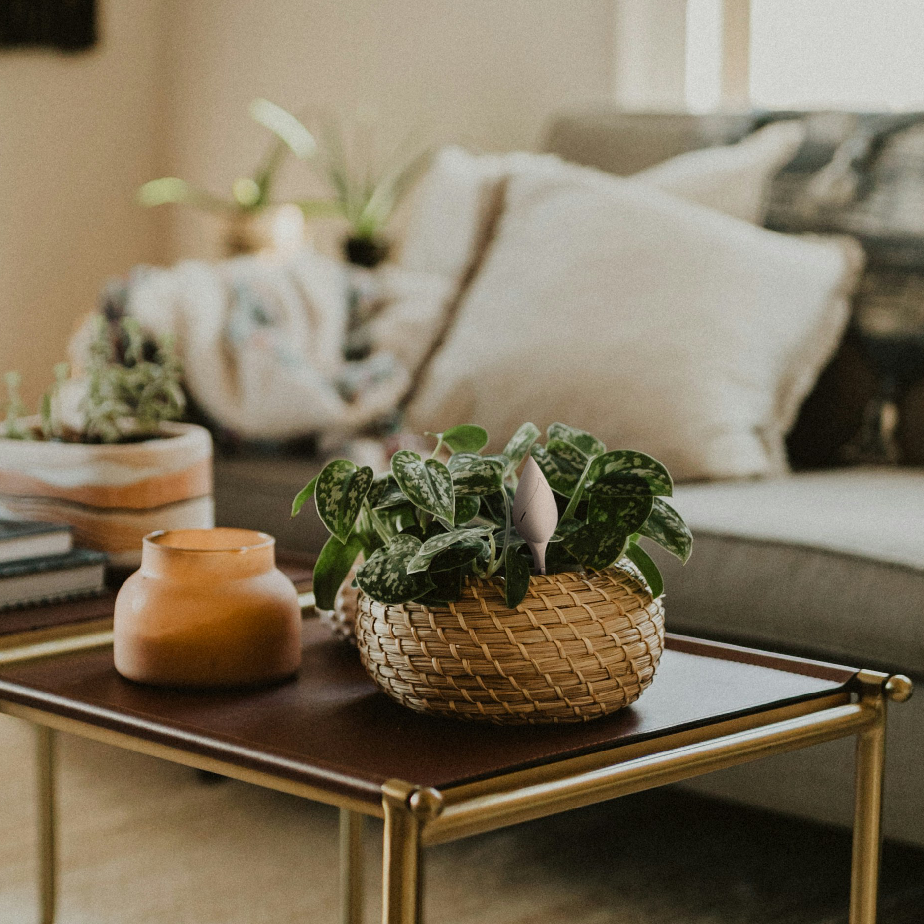Image of An image of a modern simple living room zoomed in on a square coffee table with a candle and a houseplant in a wicker basket with leaflet plant sensor in it. 